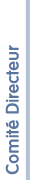 Comit&eacute; directeur