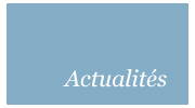 Bouton Actualites